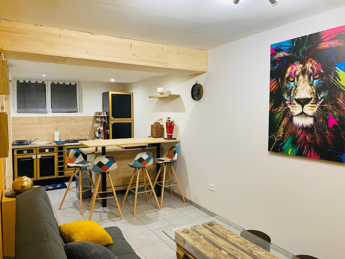 Studio 40M2 Plein Pied Avec Parking Jussac 外观 照片